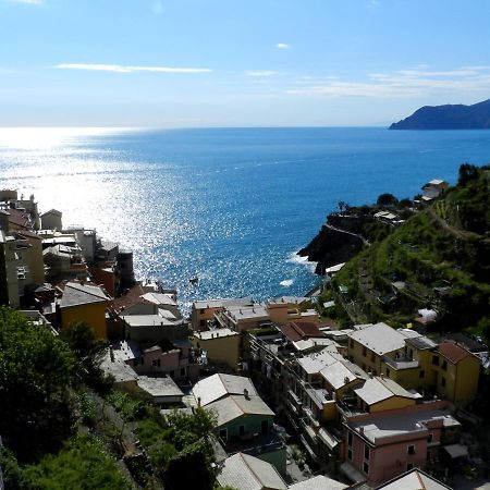 Aria Di Mare, Manarola - Appartamento The View エクステリア 写真